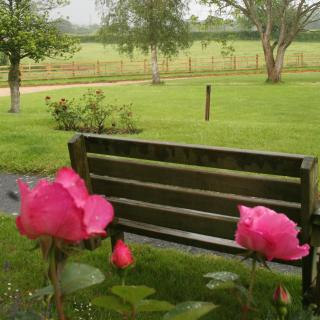 Newcourt Barton - 6