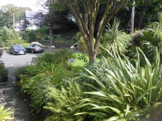 Orchard Lodge - Boscastle - 8