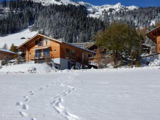 Bed & Breakfast l'Epicéa - Leysin - 7