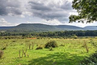 Rustic Bedford Cabin Near Hunting and Fishing - 9