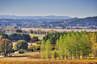 Chic Willamette Valley Home with Deck and Vineyard! - Gaston - 0