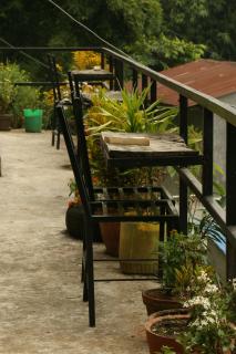 peace guesthouse cottage - Pokhara - 5