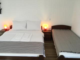 Fruška Gora Guesthouse - Irig - 2