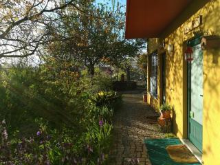 Casa Das Palmeiras-Pedagogic Farm - Mangualde - 3