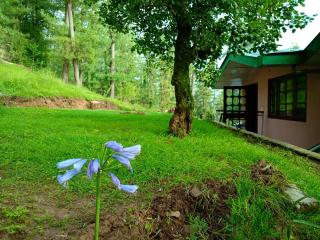 Merlin Grove Suites Simla - 8