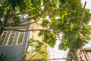 Alley7 Homestay - 3