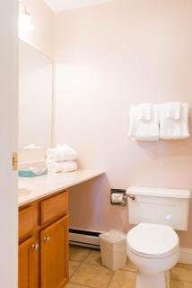 Vantage Point Villas at Stratton Mountain Resort - Stratton Mountain - 7