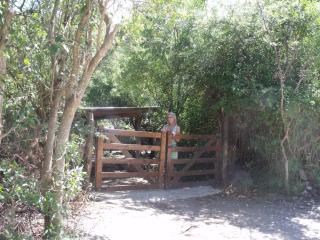 La Quebradita - San Javier - 9