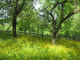 Cottage on Hill - Donja Stubica - 8