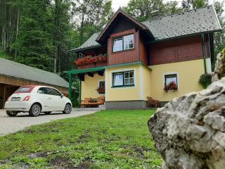 Ferienhaus Schlossblick - Landl - 8