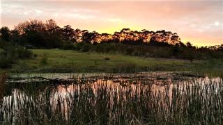 TAMO Guest Farm - Plettenberg Bay - 8