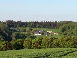 Ferienwohnung Eiernest - Briedeler Heck - 9