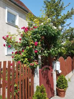 Ferienwohnung Korneuburg bei Wien -1 - Korneuburg - 1