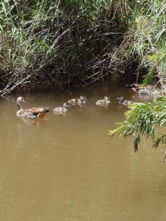 Thandamanzi Self Catering - 1