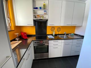 Casa Zundregn - ein Bijou mit privater Terrasse und E-Mobility - Savognin - 6