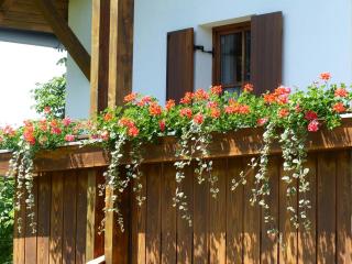 Ferienwohnungen Reitinger - Tiefenbach - 7