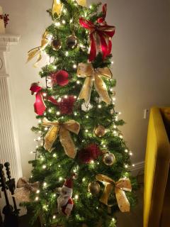 Cathleen's Cottage - Newry - 2