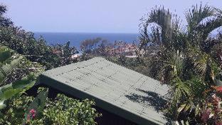 Zuider Zee Guest House - 9