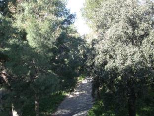 Karystion Hotel - Karistos - 7