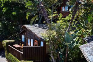 Under Milkwood Resort - 1