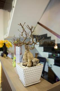 Hoa Cát Hotel - Quy Nhon - 1