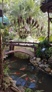 Riverside - Ban Cho Lae - 1