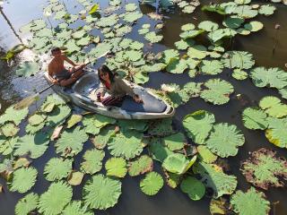 Phalagoon Resort - 4