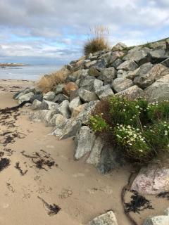 Bluebell Cottage - Kilmore Quay - 5