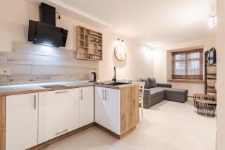 Staroevreyska timber apartment - Lviv - 0