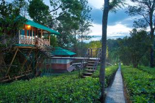Dream Catcher Plantation Resort - Munnar - 5