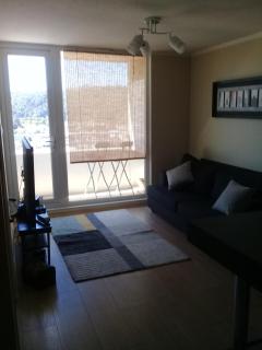 DEPARTAMENTO CENTRO TEMUCO - Temuco - 9