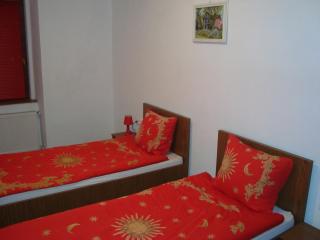 Apartament Miruna Sibiu Filarmonicii - Sibiu - 6