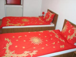 Apartament Miruna Sibiu Filarmonicii - Sibiu - 1