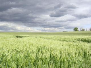 Kleine Auszeit - Natur und Erholung in Mecklenburg - Reimershagen - 1