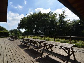 Spacious chalet in Ovifat-Waimes with sauna - Ovifat - 7