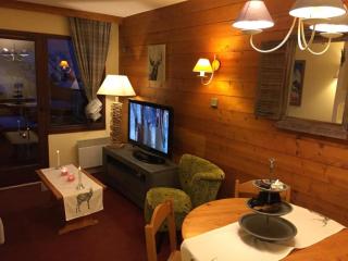 Coquet studio Quartier Falaise superbe vue - Avoriaz - 8
