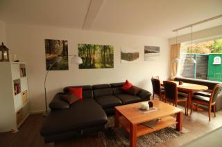 App 613 Panoramic Hohegeiß Terrassenhaus - Hohegeiß - 1