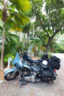 Paradise Inn - Adult Exclusive - Key West - 5
