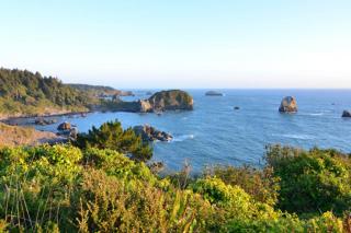 Whale Rock Suites - Trinidad - 3