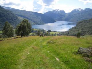 Seim Camping - Røldal - Røldal - 8
