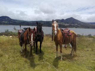 Glamping Cabaña San Martin - Guatavita - 6