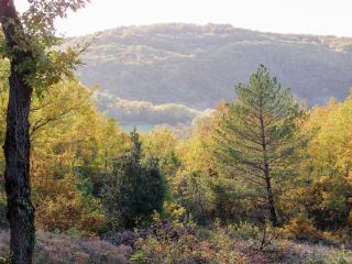 Holiday home in Bouzic near meadows - Bouzic - 7