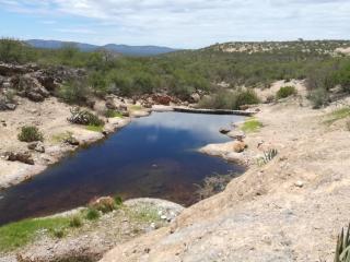 Munsterland Guest Farm - 3