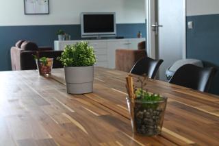 B&B Manege Groenewoude - Woudenberg - 7