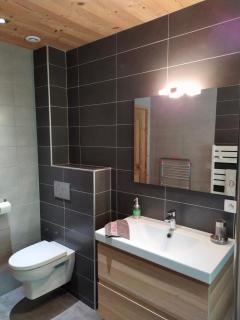 Le Chalet Du Pic SPA privé & Fitness - Taninges - 4