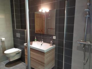Le Chalet Du Pic SPA privé & Fitness - Taninges - 3