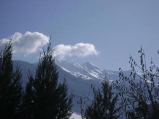 fleur de neige - Gilly-sur-Isère - 5