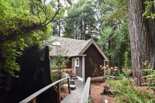 Serene Redwood Retreat - Arcata - 6