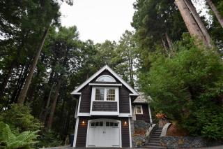 Serene Redwood Retreat - Arcata - 4