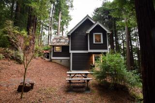 Serene Redwood Retreat - Arcata - 1